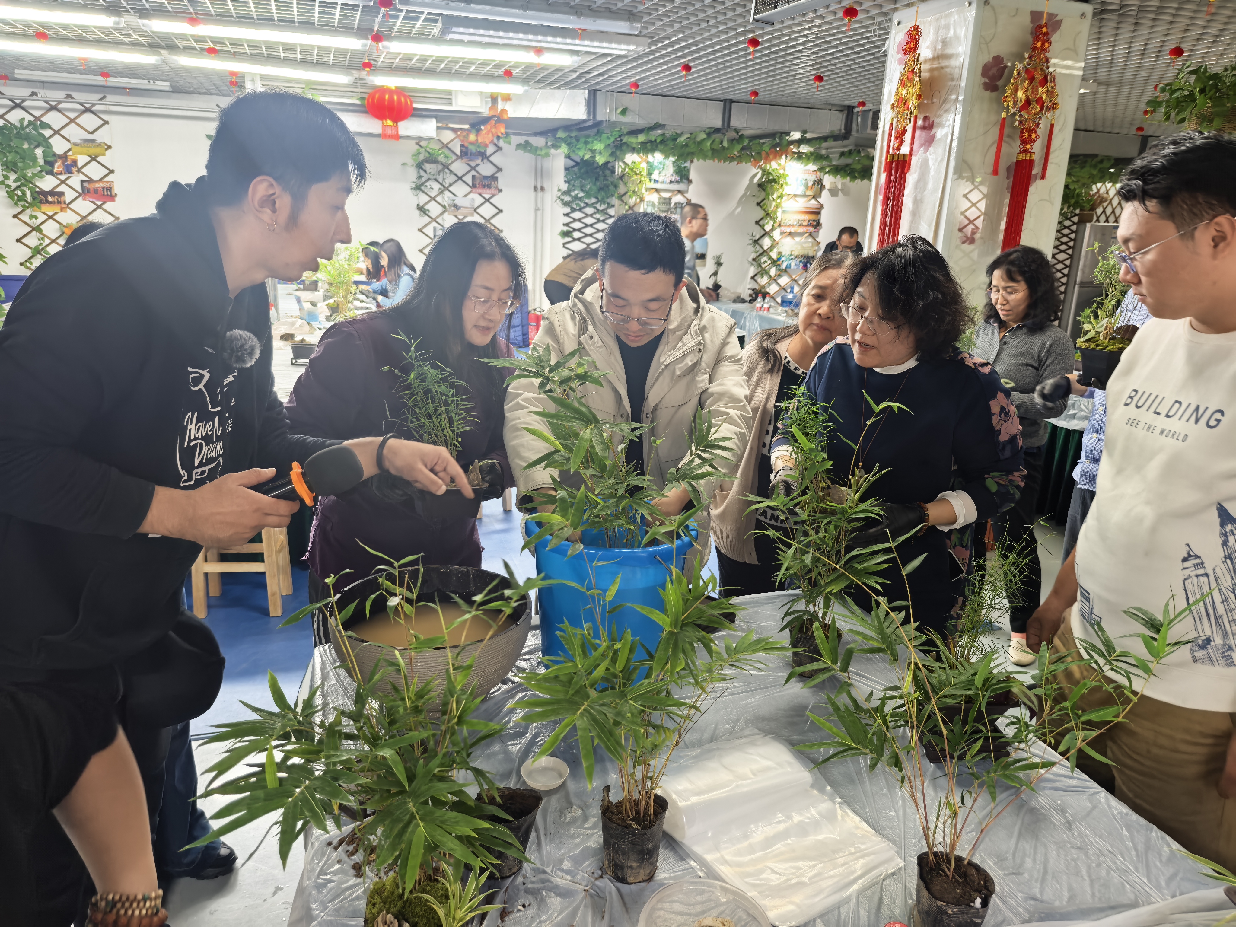 劲节清风 竹韵铭心 | 一场滋养身心的盆景手作团队实践